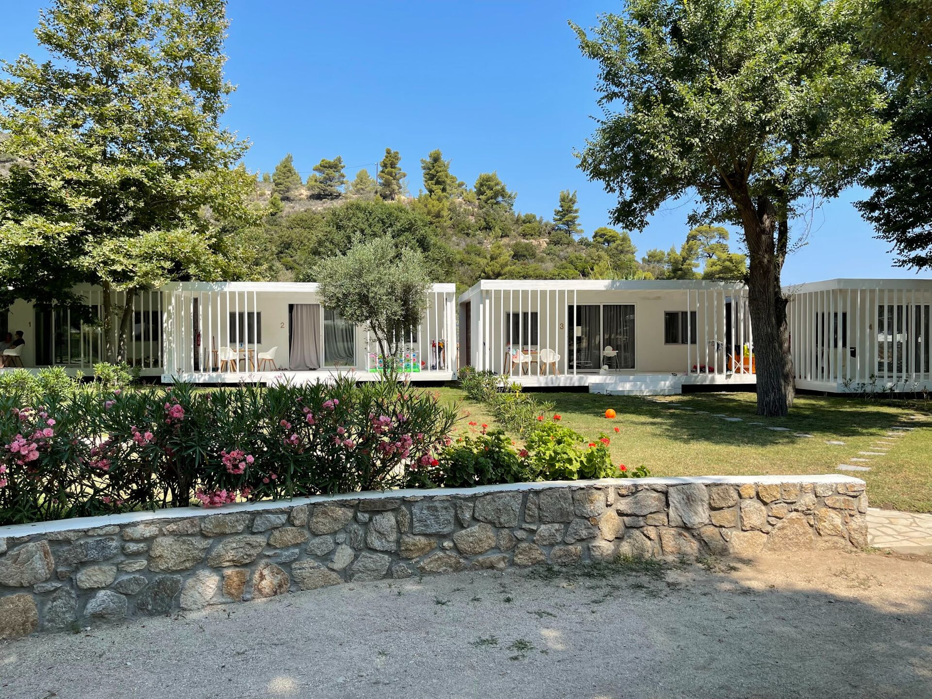 studiouri grecia